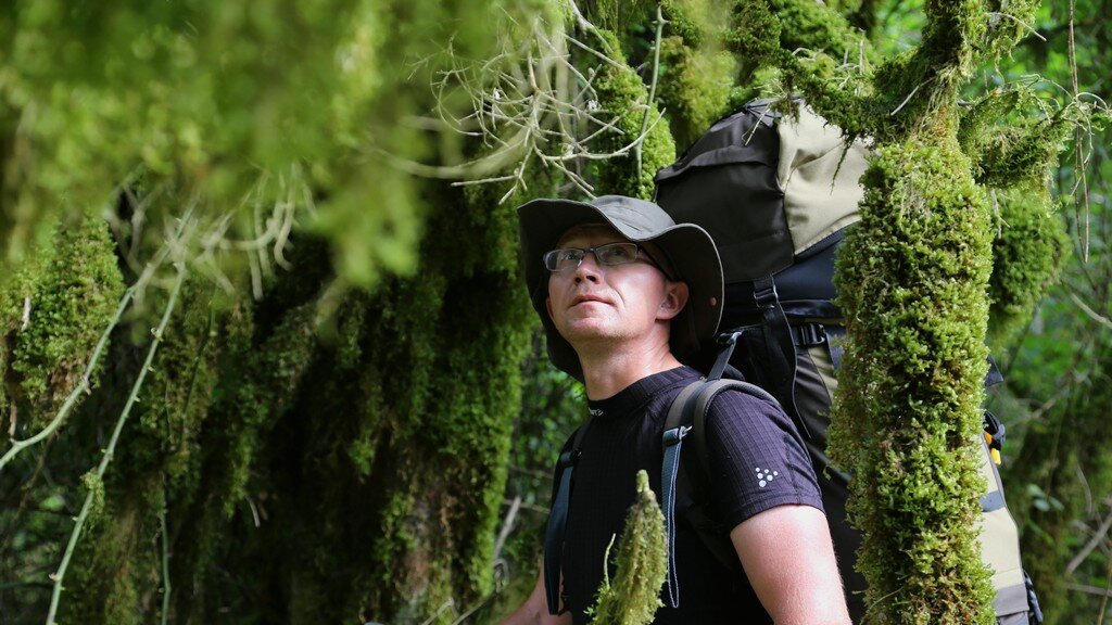  В самшитовом лесу