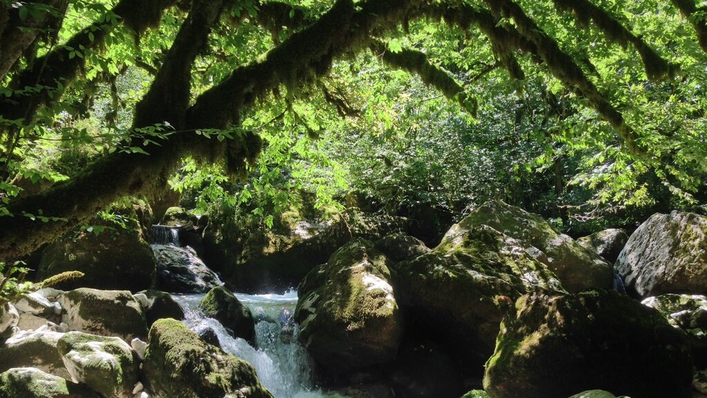 Горная река Абаша