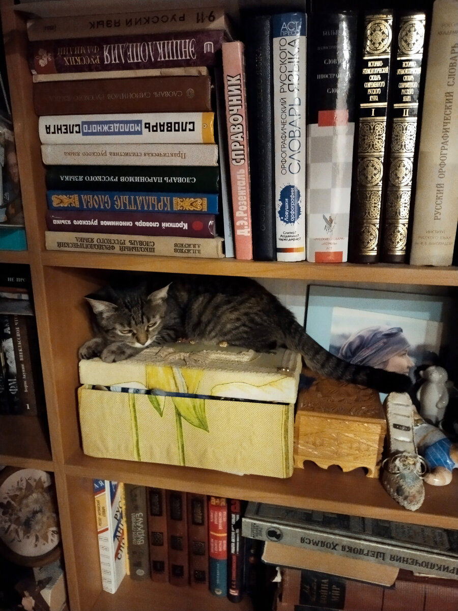 Юная Чуфа и Тот Самый Стеллаж.