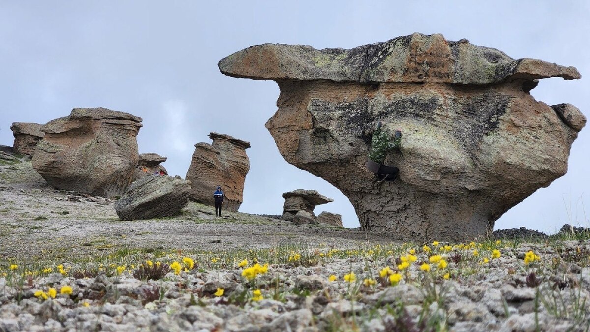 Каменные грибы северного приэльбрусья