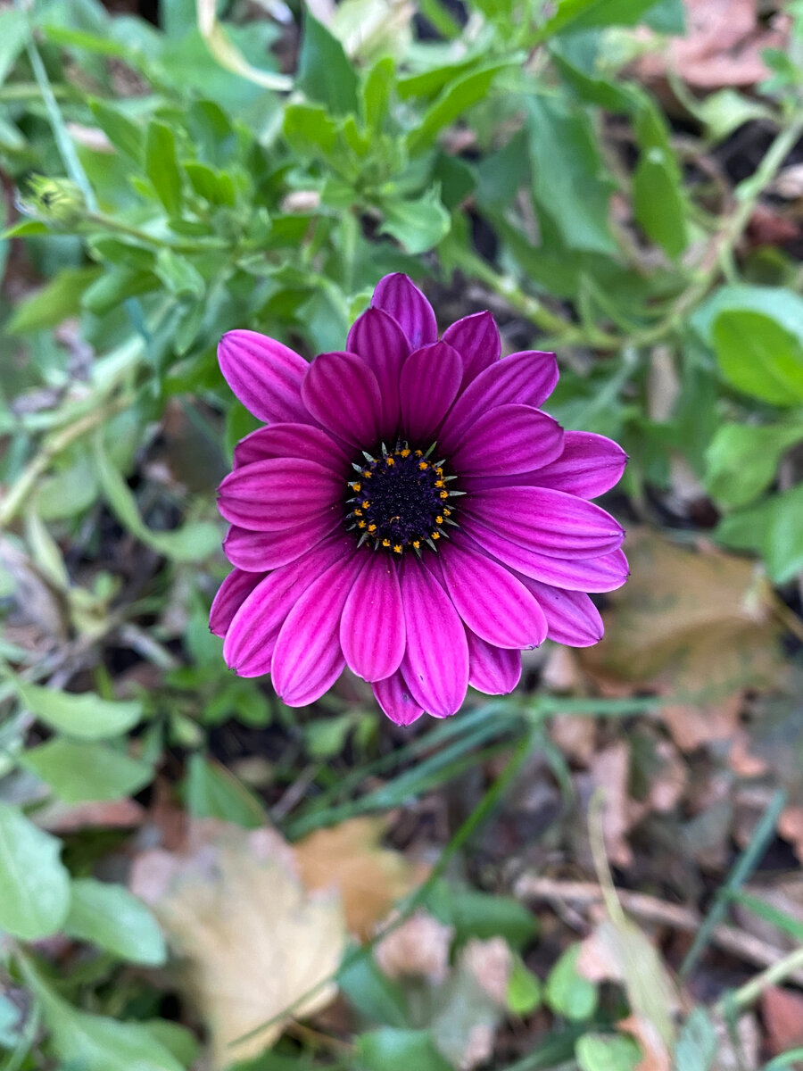 Наше утро | Анна Приходько | Дзен