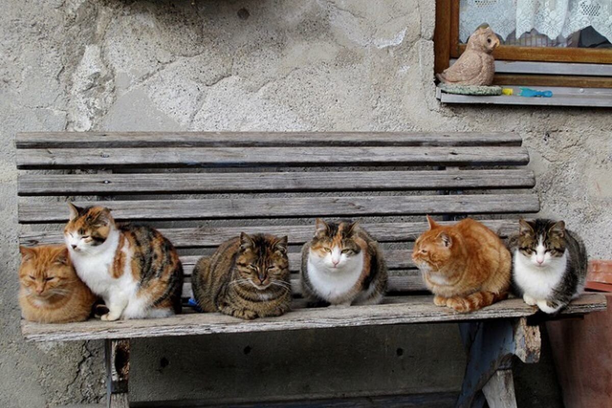 смотрят на всех