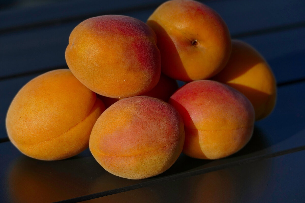 Фото абрикосов и персиков. Персик абрикос Урюк. Урюк абрикос нектарин персик. Кульга абрикос. Абрикос желтый.