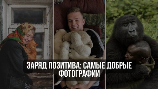 Заряд позитива: самые добрые фотографии