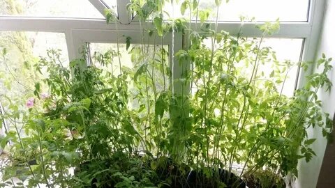 Фото взято из открытых источников