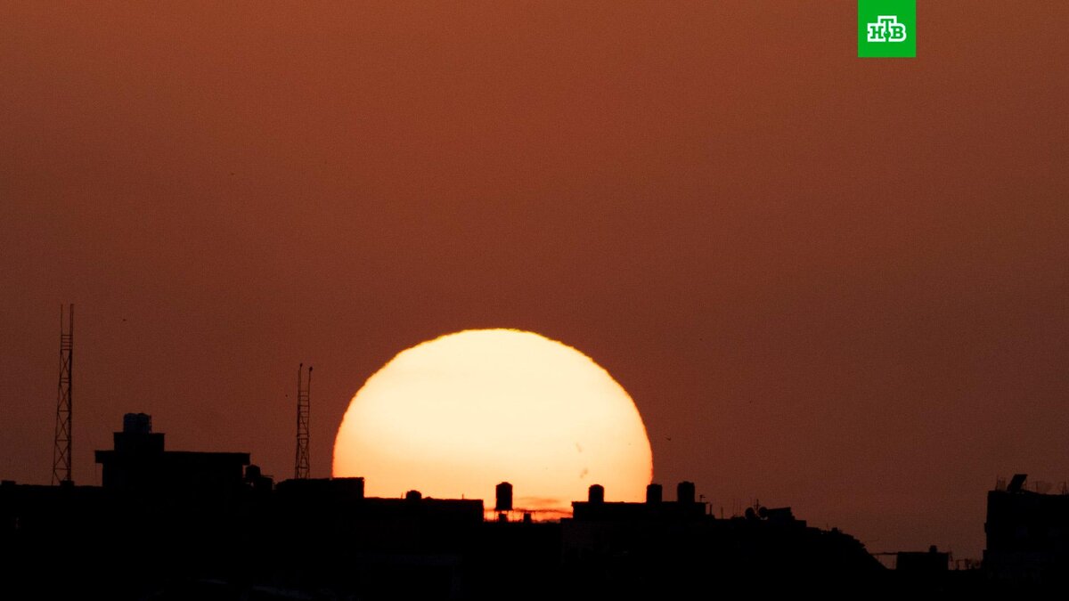    Фото: Associated Press © 2024, Maya Alleruzzo