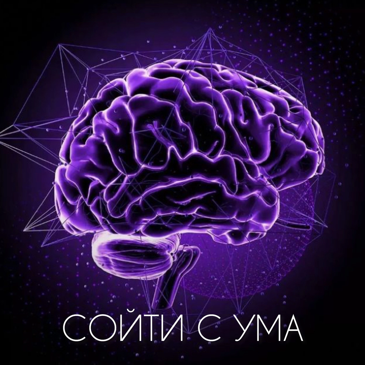 Brain 18. Красивый мозг. Мозг красиво.