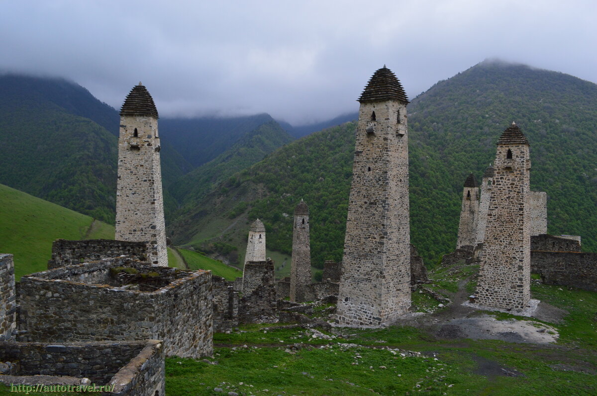 джейрах таргим. животный мир ингушетии. мечеть эрзи ингушетия. заповедник эрзи ингушетия. башенный комплекс эрзи ингушетия.