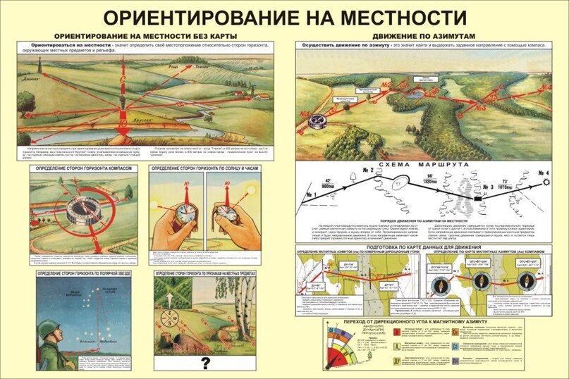 Ориентирование на местности. Как определить стороны света?