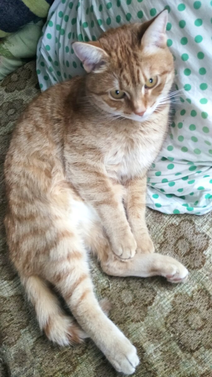 утренняя 16 2. солнечная улица. улица утренняя дом 4. утренняя улица 4. утренняя, д.