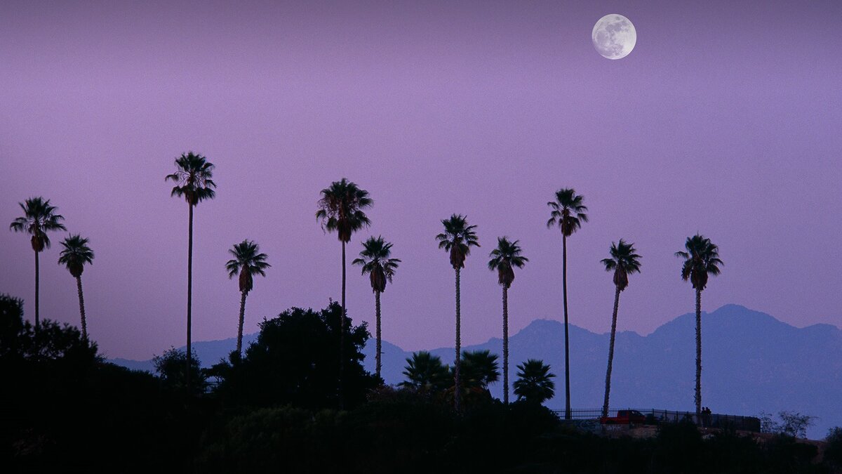песнь земли джексон. Earth song white. песня земли красоты. песня о земной красоте. песня о земной красоте дубравин.