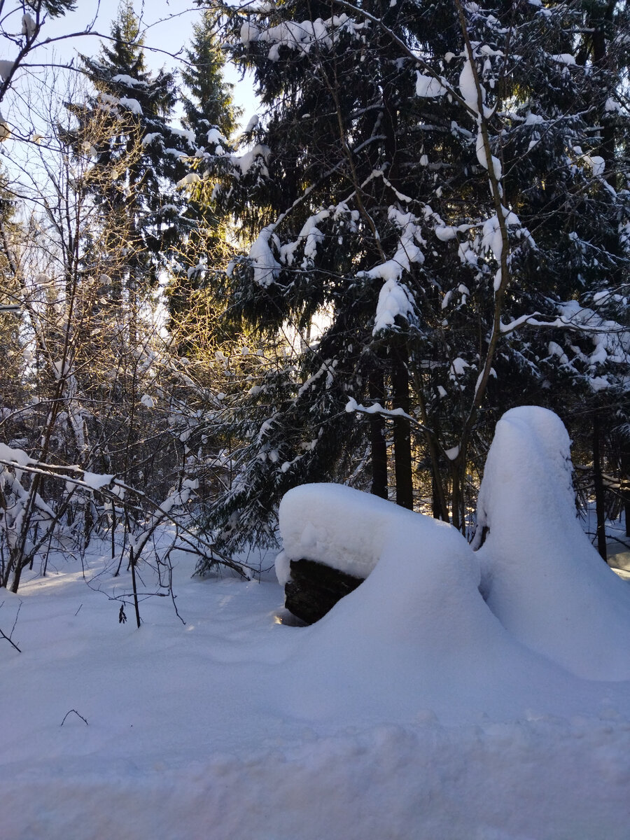 Тянулись тени береза до длинные. Нв-571 в тени берез. Рэйви березы. Березовая роща троица. Весна большая вода левитан оригинал.