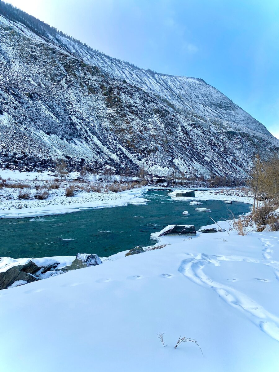 отдых в горном алтае зимой 2023. горнолыжные курорты снг. алтай 2022. тур горный алтай 2022. экокурорт «марьин остров».