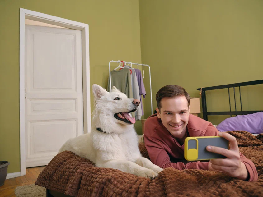 Как убрать запросы в яндексе. Как убрать варежку из яндекса. Браузер. Подсказки в строке браузера. Пёстрые варежки.