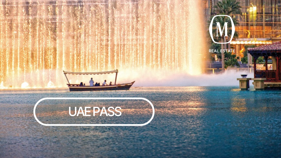 Что значит UAE PASS?