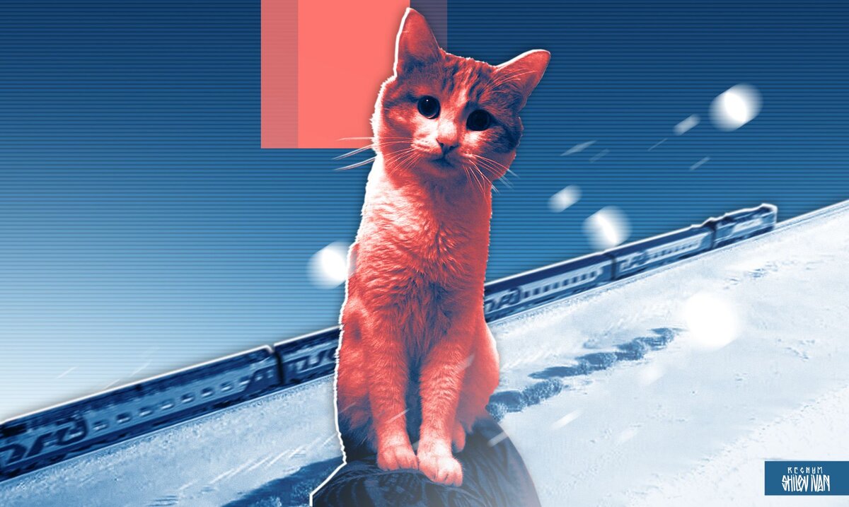 кот твикс дело против проводницы