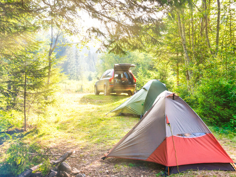 кемпинг соловки палаточный городок. кемпинг «аак-теленгит». торбеево озеро кемпинг. где можно отдохнуть с палатками. селигер палатки палаточный лагерь.
