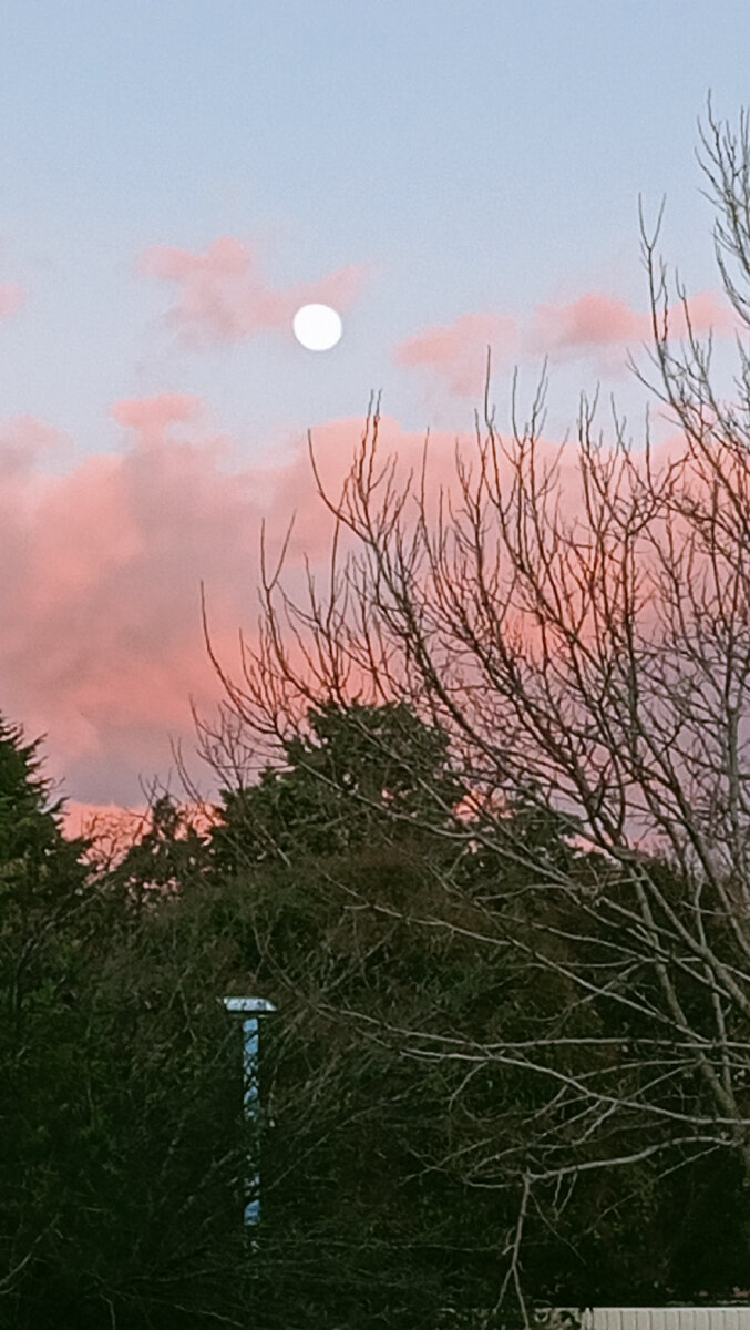 вот и вечер скоро ночь. день прошел скоро ночь. день прошел скоро ночь. наступит ночь. ночи спокойной крепкого сна.