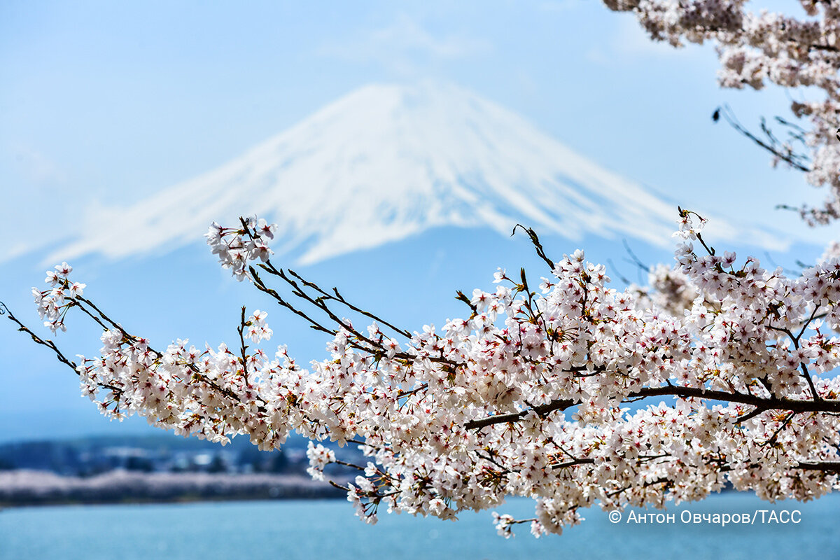    Фото: Антон Овчаров / ТАСС