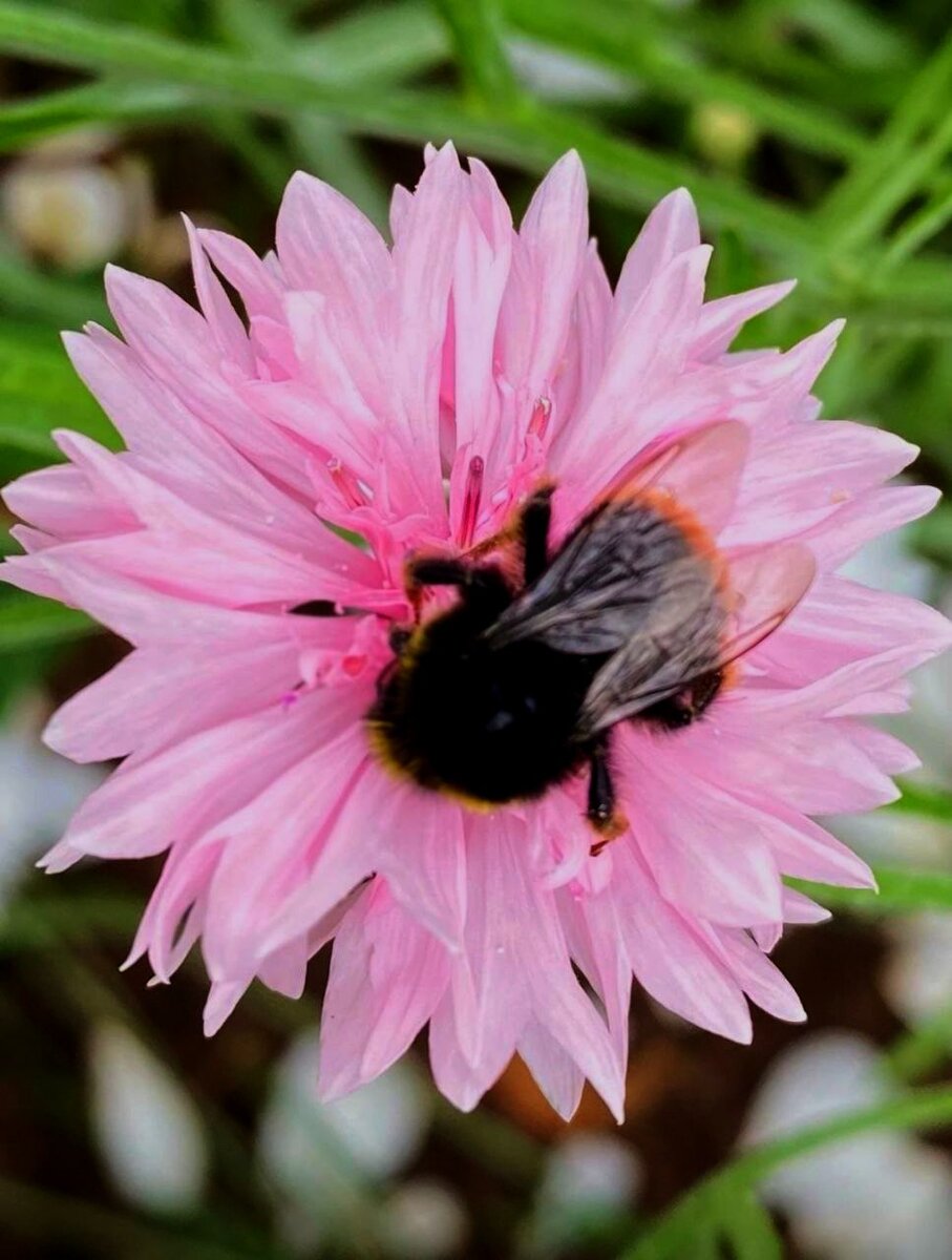 Перевязочный кабинет в хирургическом. Ачит свердловская область больница. Гобуз маловишерская црб. Црб малая. Гостиница вишера красновишерск.