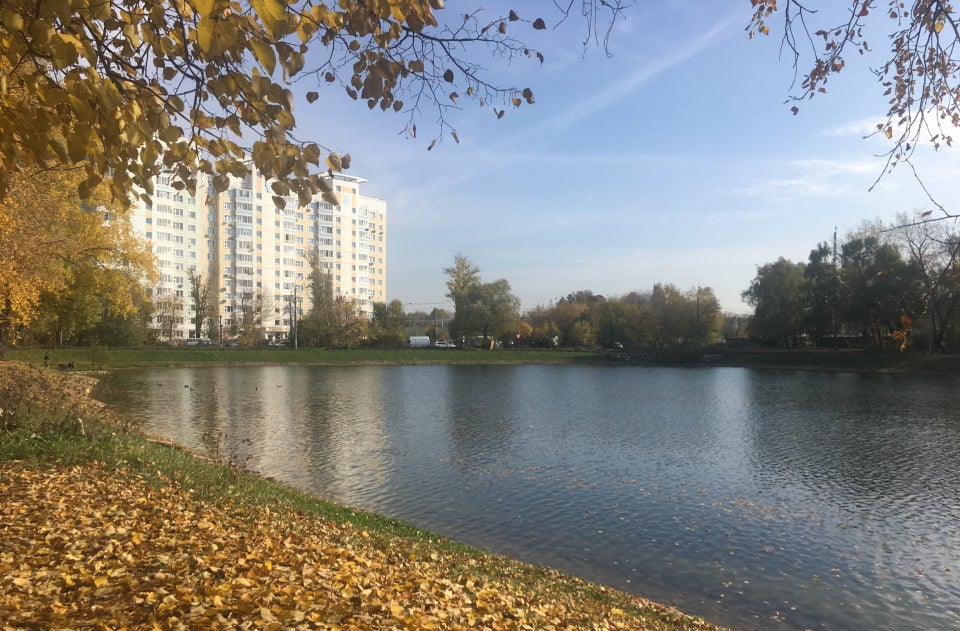 Перово пруд. Хим пруды перовский парк. Перово пруд. Перовский парк перово. Новогиреево перовский пруд.