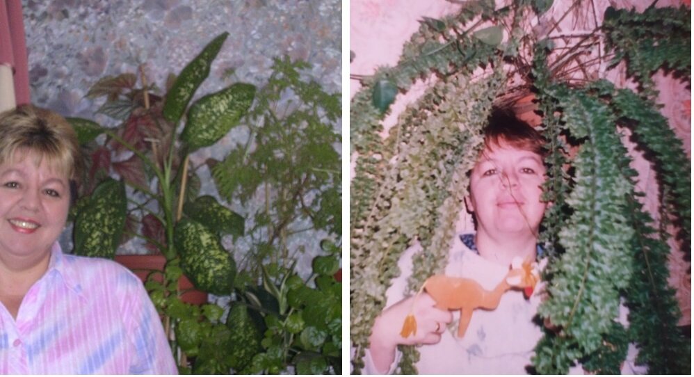 Часть цветов, что дома