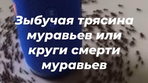 Пожиратель константин муравьев все книги. Читать муравьева не тот человек. Где-то там… - константин муравьев. Константин муравьёв миры за гранью где то там. "где-то там.