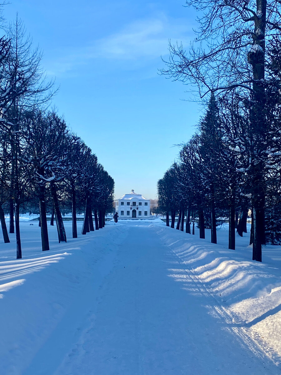 летние деньки. какой сегодня солнечный денек. солнечный денек. солнечный денёк картинки. какой сегодня солнечный денек.