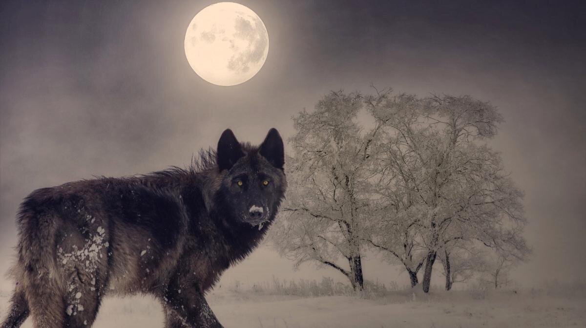 Полнолуние в июне 2024. Полнолуние в июне 2024. Фазы луны для рыбалки. Розовое полнолуние. Полнолуние в июне 2024.