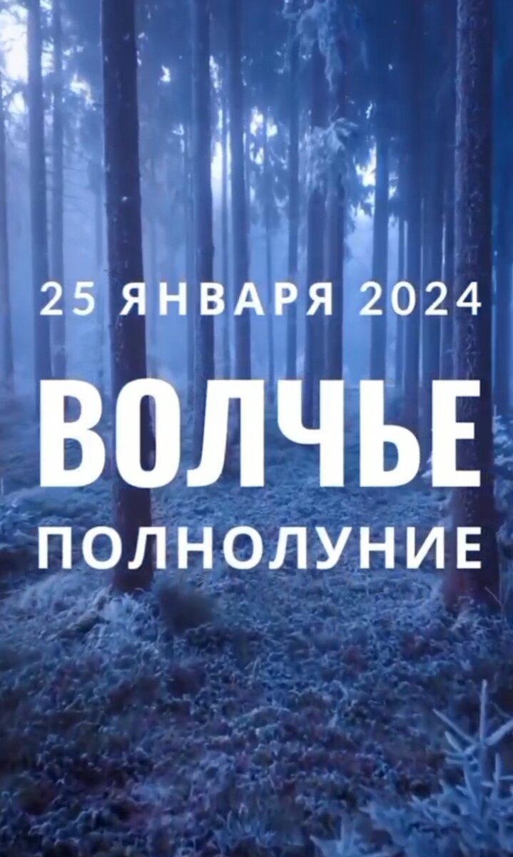 Лекарь рода. Лекарь рода