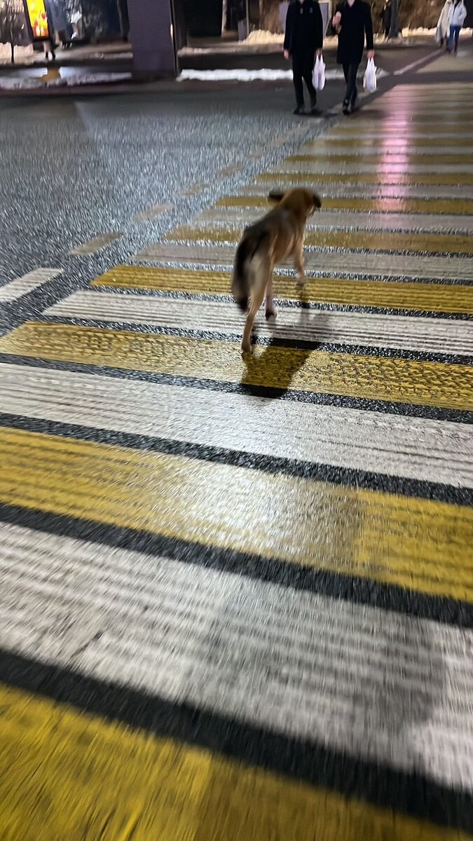 Это я вчера плетусь с тренировки домой