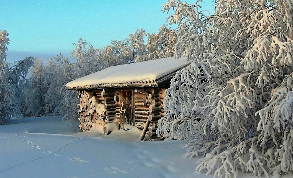 Яндекс картинки