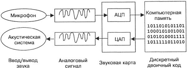 Принцип работы аналого-цифрового преобразователя (ацп). Ac220 ac12 105вт. Ацп цифровой сигнал. Преобразующий электронный. Защита информации баз данных.