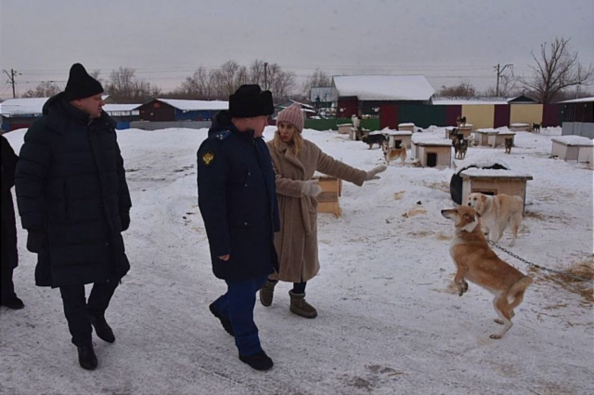 Приложение проверка 2000. Банкнота 2000 рублей проверка. Проверить 2000 рублей. 2000 рублей шевелятся. Приложение проверка 2000.