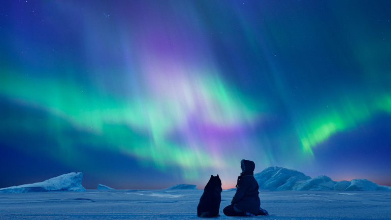 Волшебная фотосессия в зимнем лесу. Собака на солнце. Пес любуясь волшебством. Собака на фоне моря. Зима романтика.