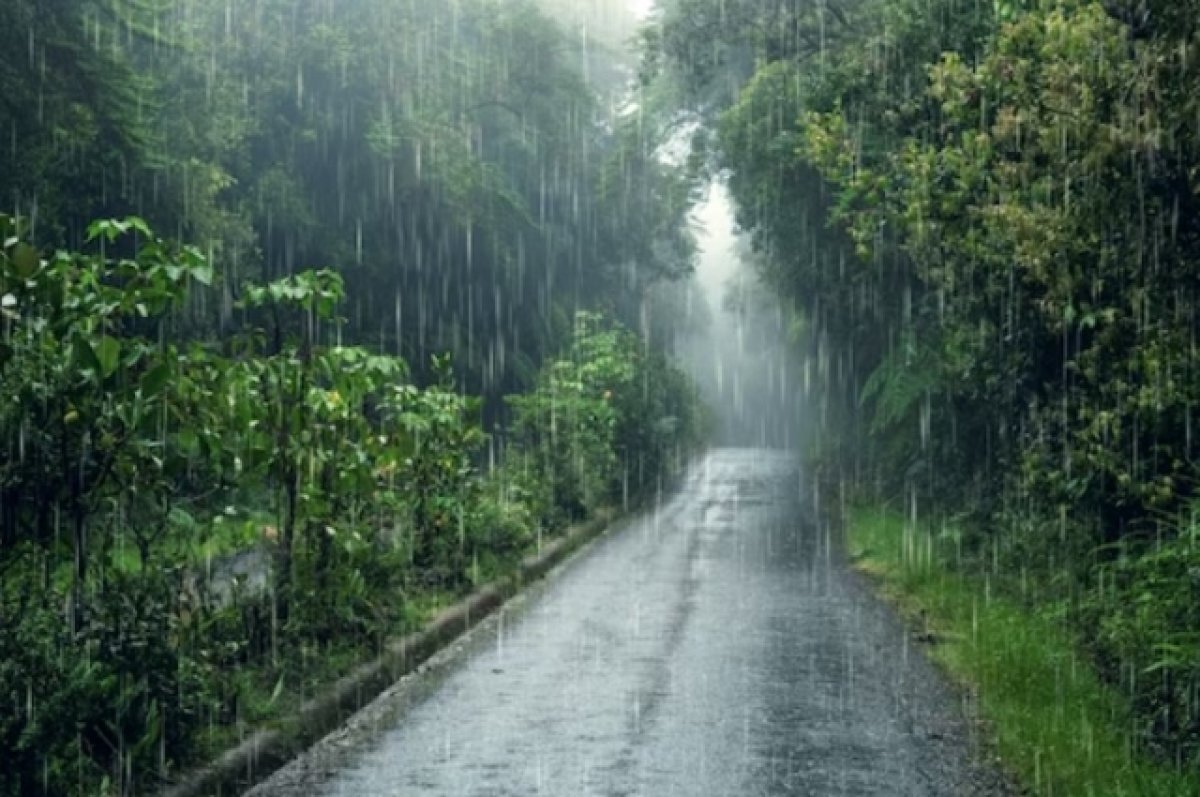 Морфологический разбор глагола пример. Как разбирается глагол морфологический. Дождевые под цифрой 3. Дождевые под цифрой 3. Морфологический разбор слоыв.