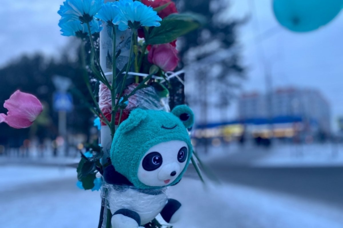    В Кемерове продлили арест таксиста, сбившего насмерть первоклассника