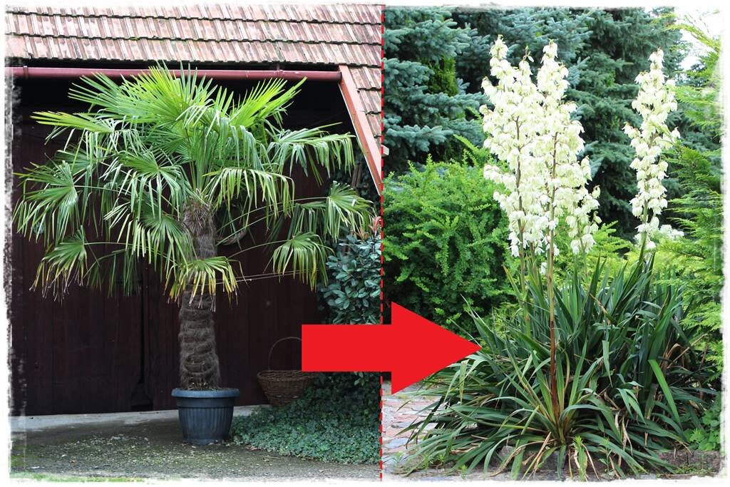 Выплаты по уходу за ребенком инвалидом. Пособие по уходу за инвалидом 1 группы. Социальные льготам детям инвалидам. Какие документы нужны для оформления ухода за ребенком инвалидом. Ежемесячные компенсационные выплаты.