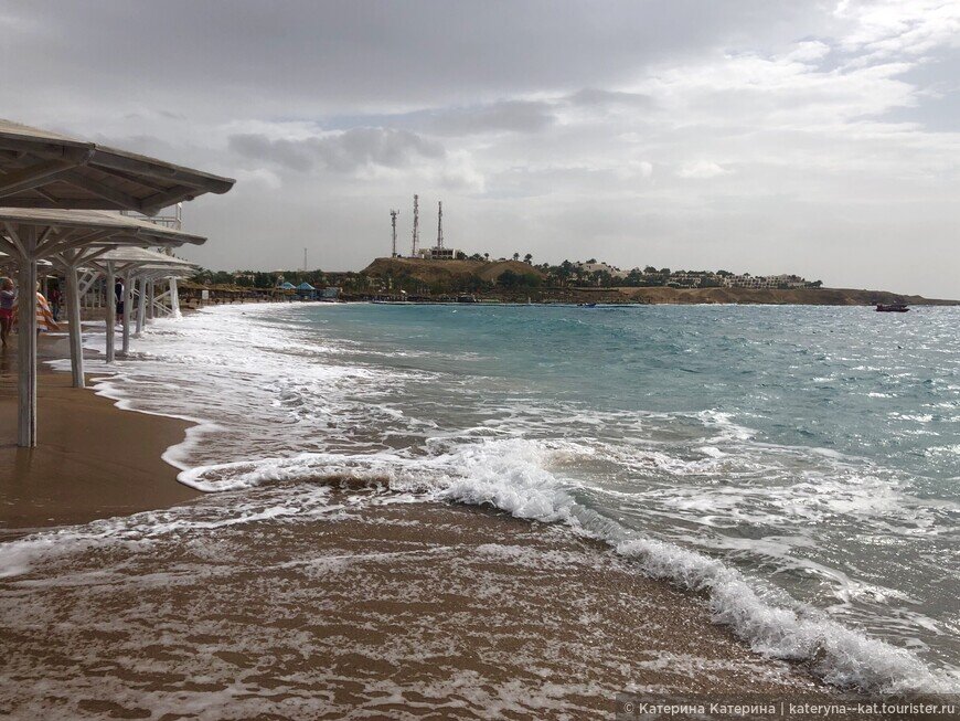 температура в египте в январе.