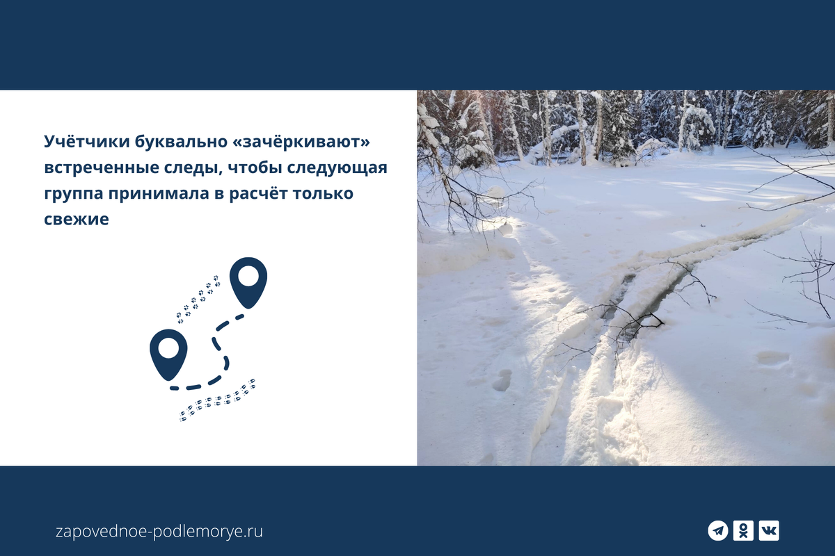 Формула пути при равноускоренном движении. Перемещение тела при прямолинейном равноускоренном движении формула. Скорость формула физика. Формула ускорения при равноускоренном движении через путь. Вывод формулы пути при равноускоренном движении без времени.