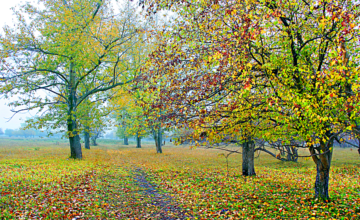 стихотворение есть в осени первоначальной тютчев. мое отношение к стихотворению осень. золотая осень стих. анализ стихотворения м ю лермонтова осень. ф и тютчев осенний вечер есть в светлости осенних вечеров.