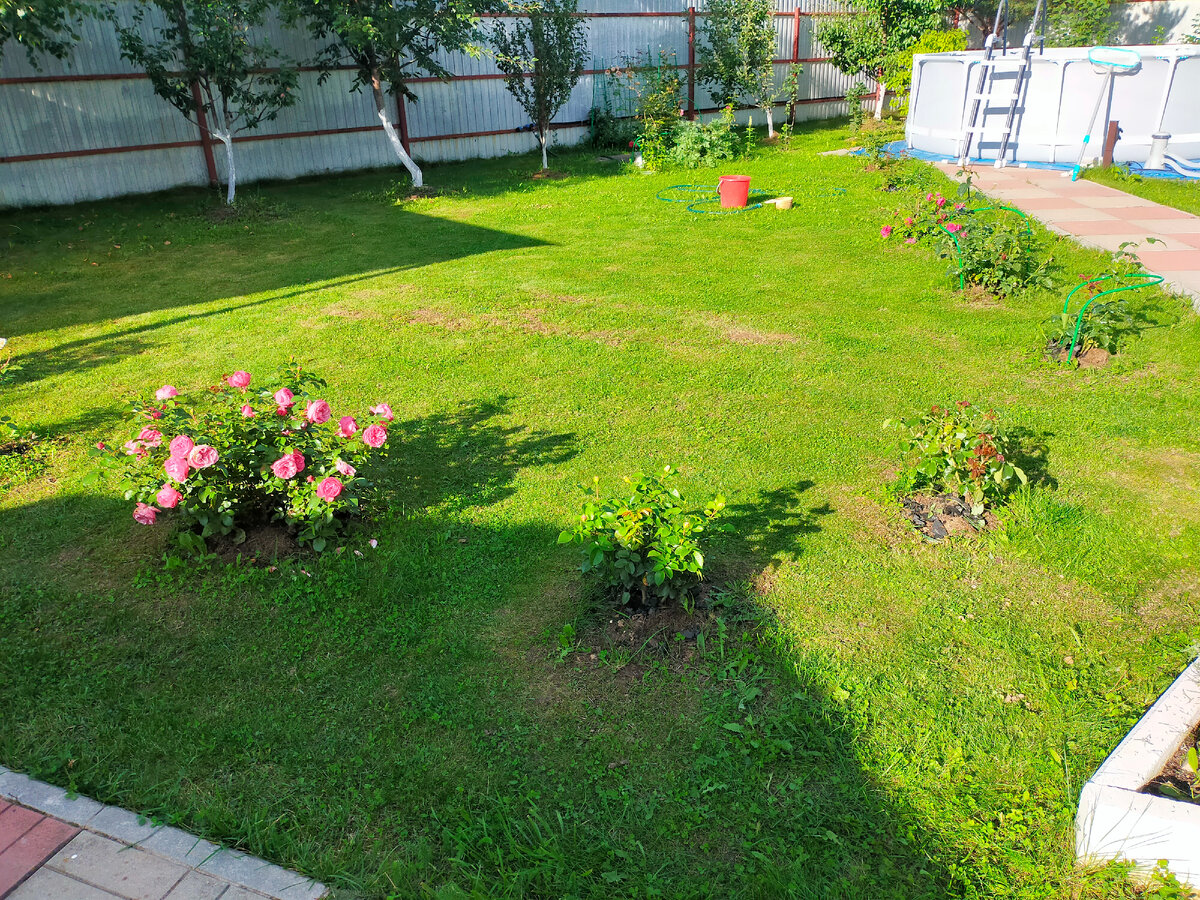 Фото август 2023 проплешины