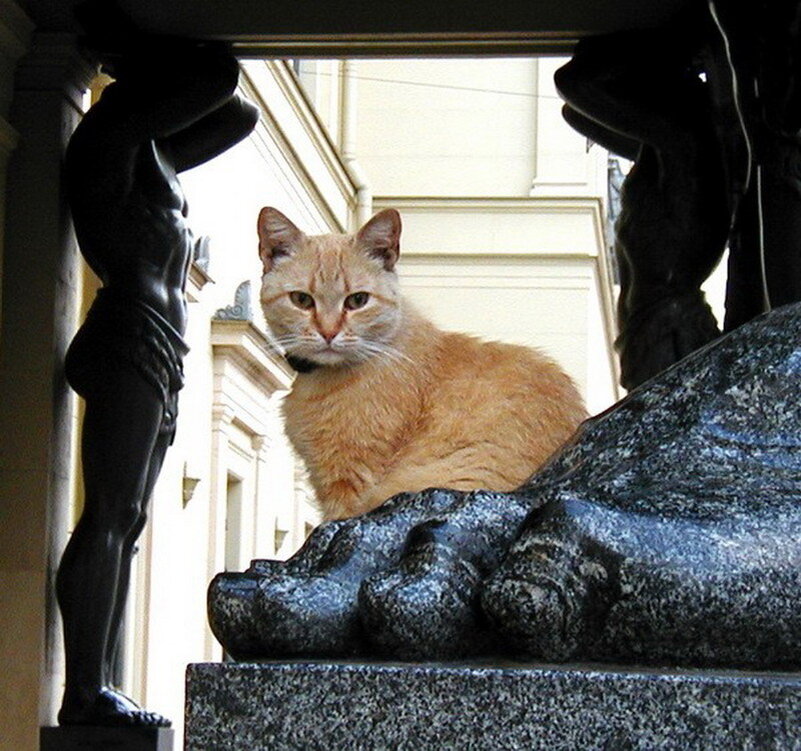 я тебе не верю мем. ну что сказать. сама не можешь сказать что ли. жду твоего сообщения. сама не можешь сказать что ли.