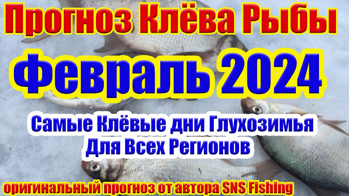 ПРОГНОЗ КЛЕВА РЫБЫ ФЕВРАЛЬ ДЛЯ ВСЕХ РЕГИОНОВ | Рыбалка SNS Fishing | Дзен