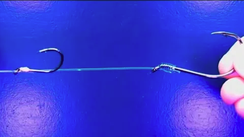 Фото с сайта: https://lovi-fish.ru