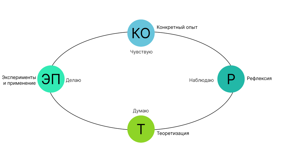 Цикл Колба: гайд по проектированию обучения от опыта | КОБРА | Дзен