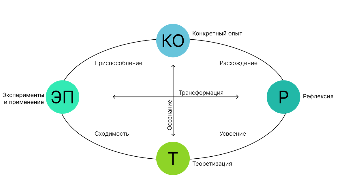 Цикл Колба: гайд по проектированию обучения от опыта | КОБРА | Дзен