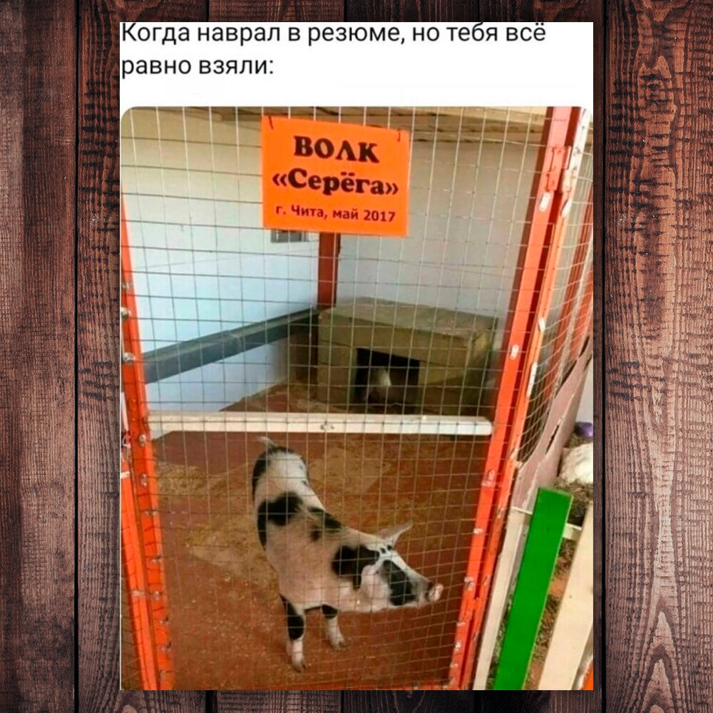 Мода 90-х годов мужчины. Пацаны 90-х. Молодость 90-х. Крутой пацан братва подтвердит. Седые пацаны из 90 х.