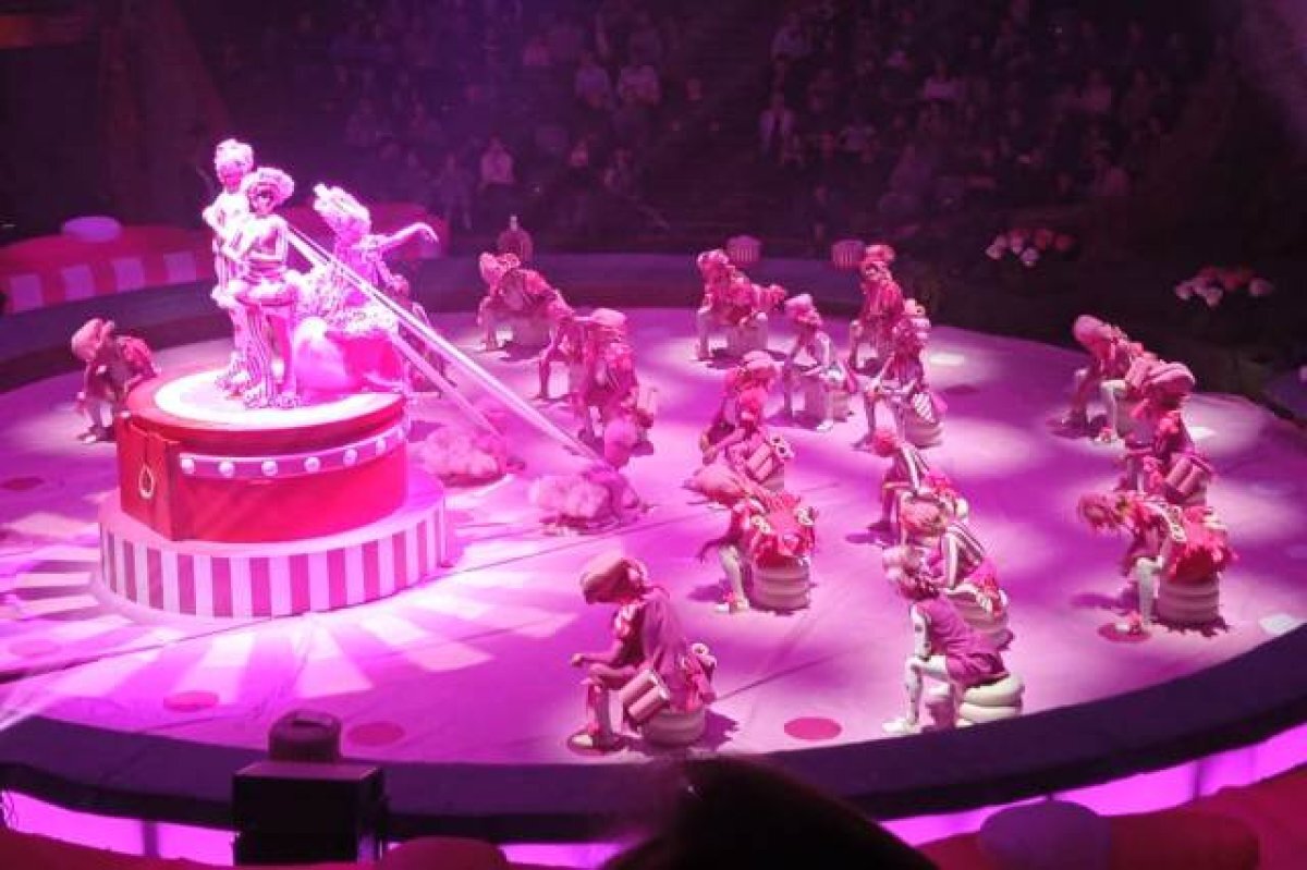    Казанский цирк - самый прибыльный культурный проект Татарстана.