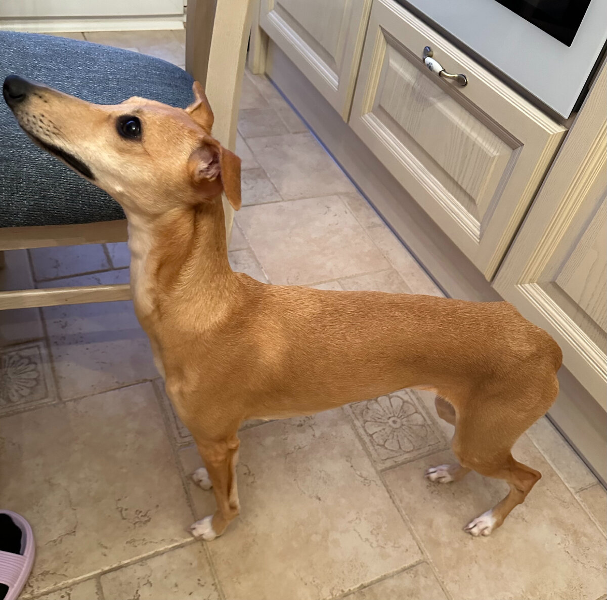 А что это вы тут едите? 